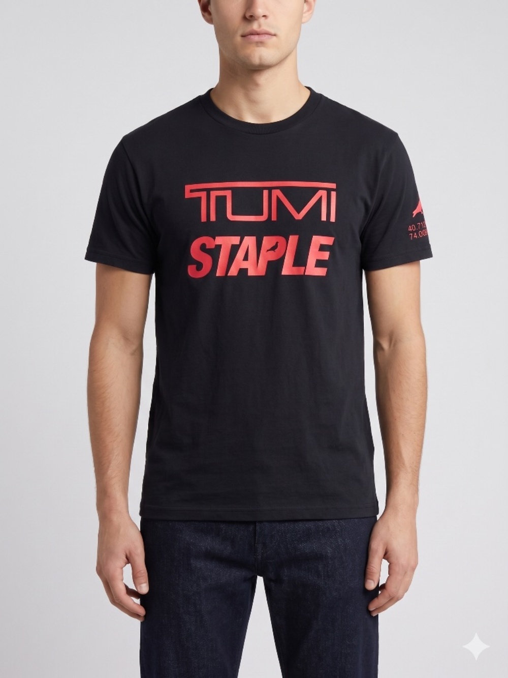 TUMI x STAPLE Black short sleeve graphic tee t-shirt size S pigeon coordinates